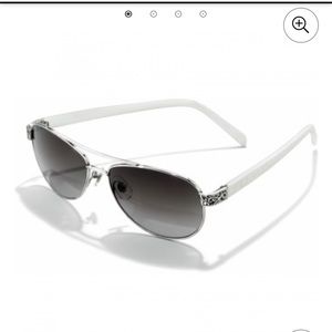 Brighton Aviator Sunglasses